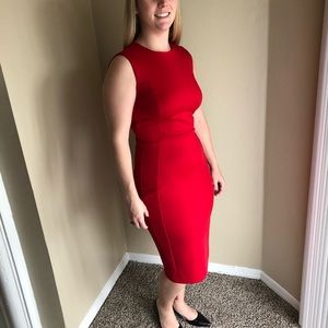 Calvin Klein Professional Dress